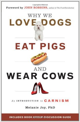 Why we love dogs, ear pigs and wear cats